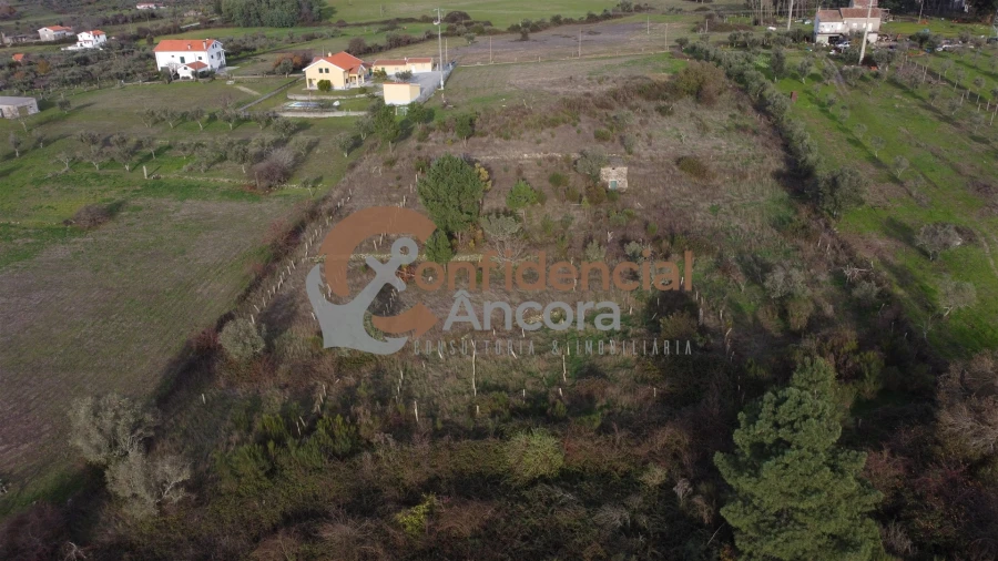 Terreno para Venda em São Paio Foto 11