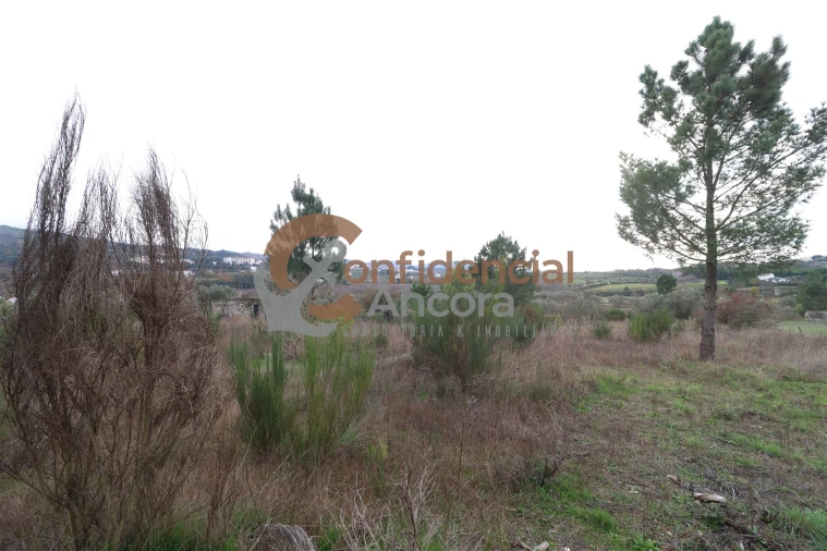 Terreno para Venda em São Paio Foto 29