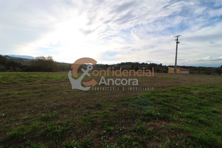 Terreno para Venda em São Paio Foto 48