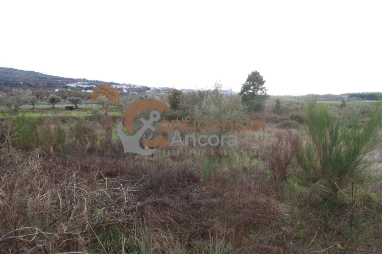 Terreno para Venda em São Paio Foto 37