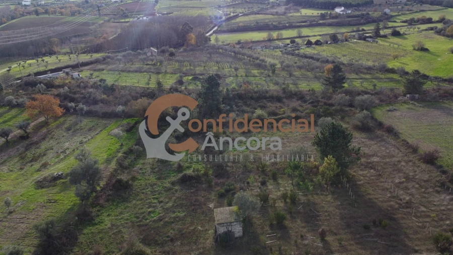 Terreno para Venda em São Paio Foto 7