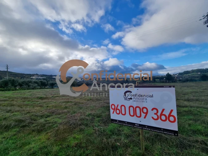 Terreno para Venda em São Paio Foto 52