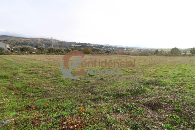 Terreno para Venda em São Paio Foto 50