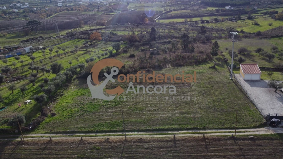 Terreno para Venda em São Paio Foto 3
