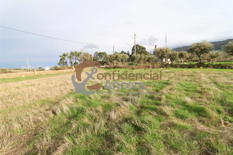 Terreno para Venda em São Paio Foto 46