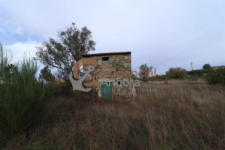 Terreno para Venda em São Paio Foto 39