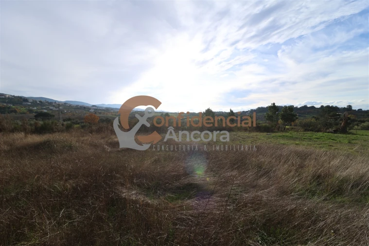 Terreno para Venda em São Paio Foto 45