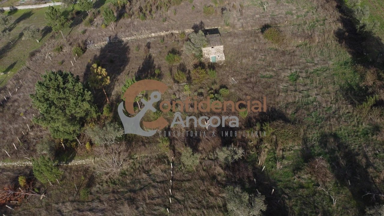 Terreno para Venda em São Paio Foto 23