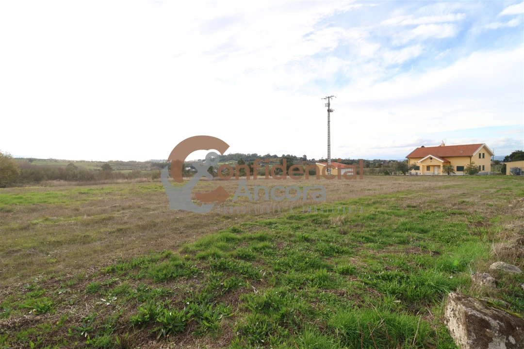 Terreno para Venda em São Paio Foto 49