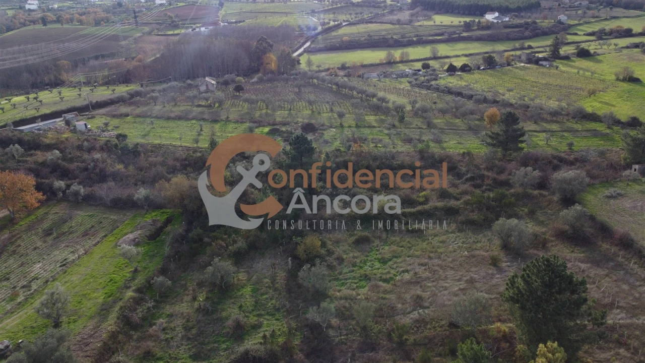 Terreno para Venda em São Paio Foto 8