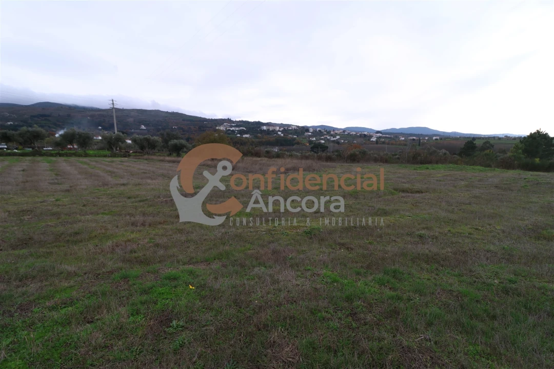 Terreno para Venda em São Paio Foto 28