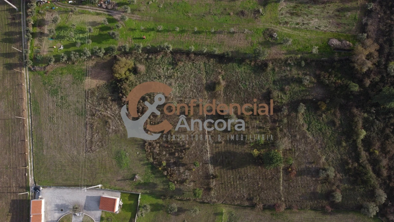 Terreno para Venda em São Paio Foto 14