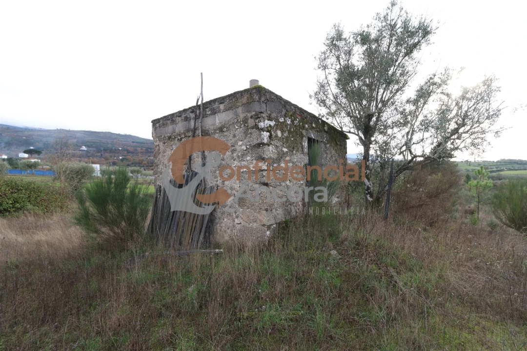 Terreno para Venda em São Paio Foto 41