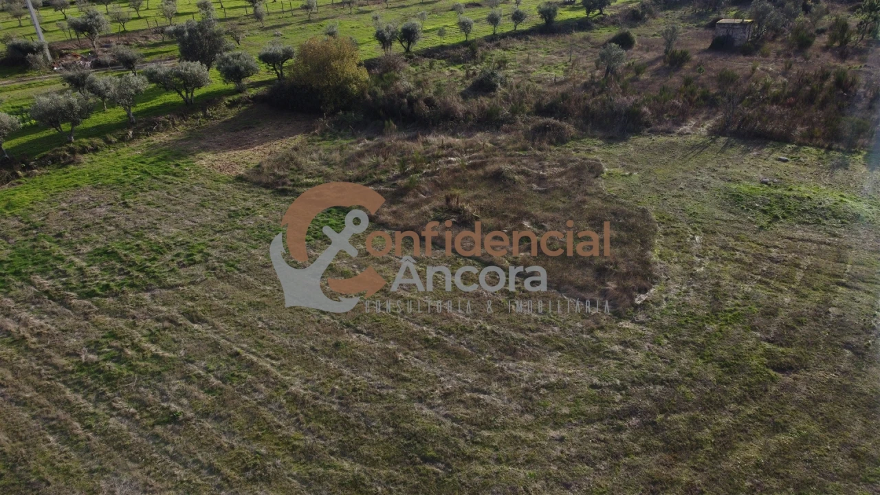 Terreno para Venda em São Paio Foto 19