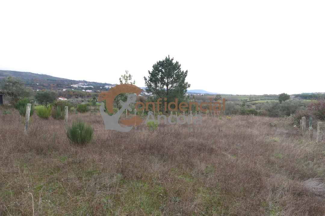 Terreno para Venda em São Paio Foto 31