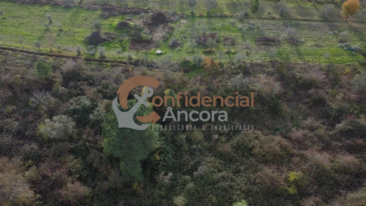 Terreno para Venda em São Paio Foto 10