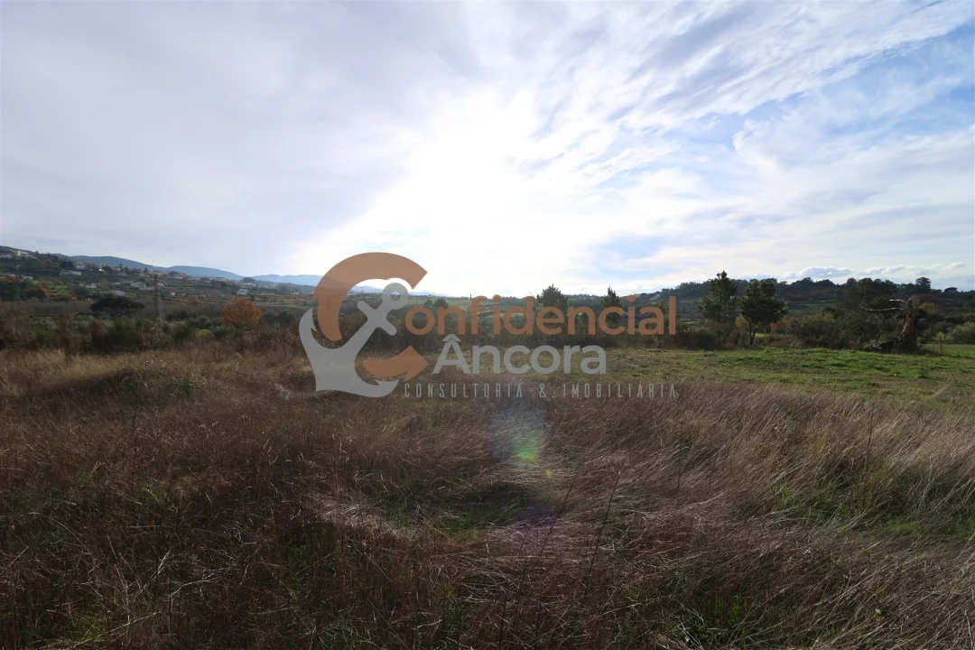 Terreno para Venda em São Paio Foto 45