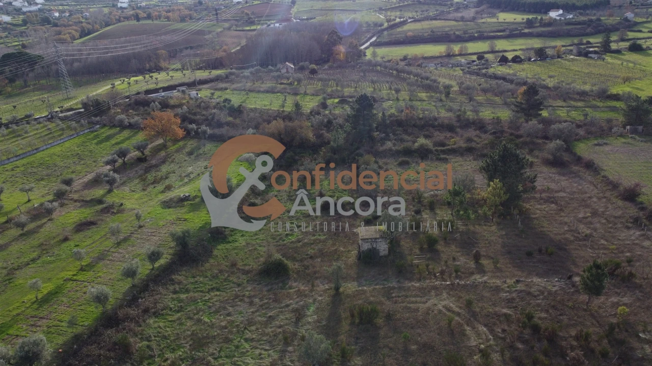 Terreno para Venda em São Paio Foto 6