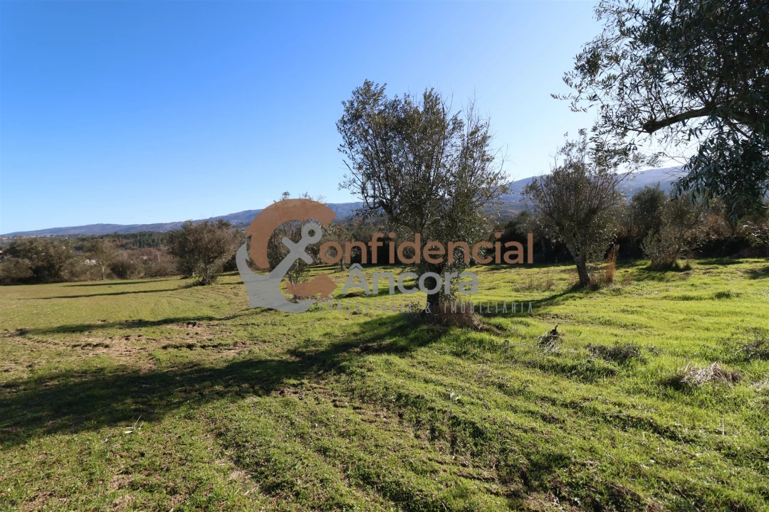 Quinta T0 para Venda em Vila Cortes da Serra Foto 15