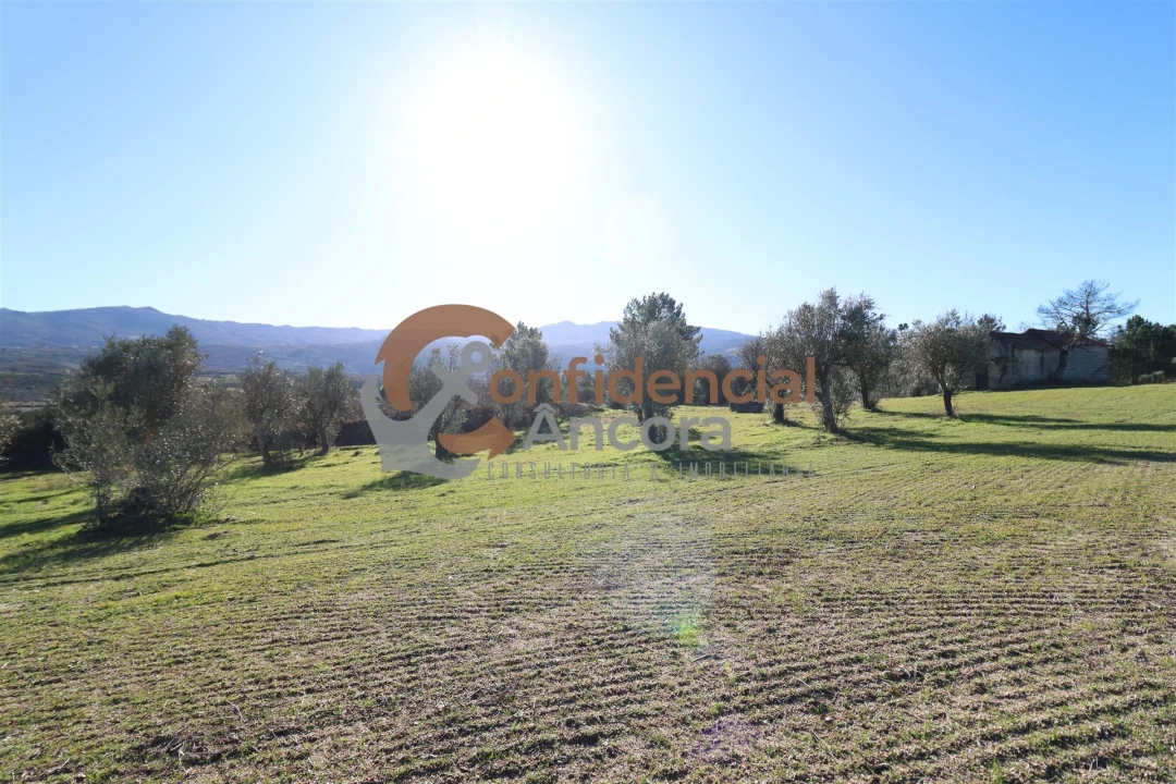 Quinta T0 para Venda em Vila Cortes da Serra Foto 20