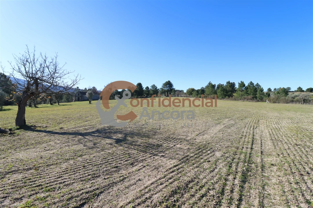 Quinta T0 para Venda em Vila Cortes da Serra Foto 19