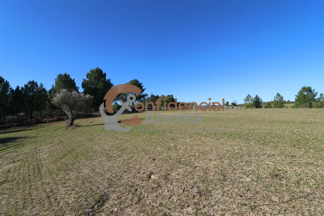 Quinta T0 para Venda em Vila Cortes da Serra Foto 10