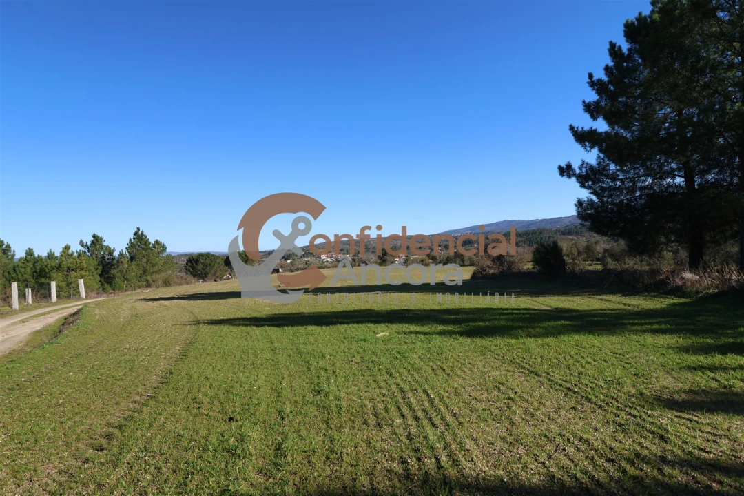 Quinta T0 para Venda em Vila Cortes da Serra Foto 2