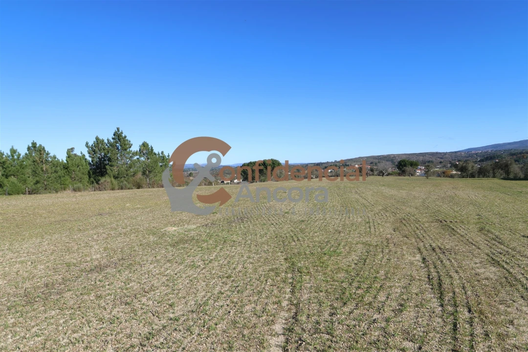 Quinta T0 para Venda em Vila Cortes da Serra Foto 3