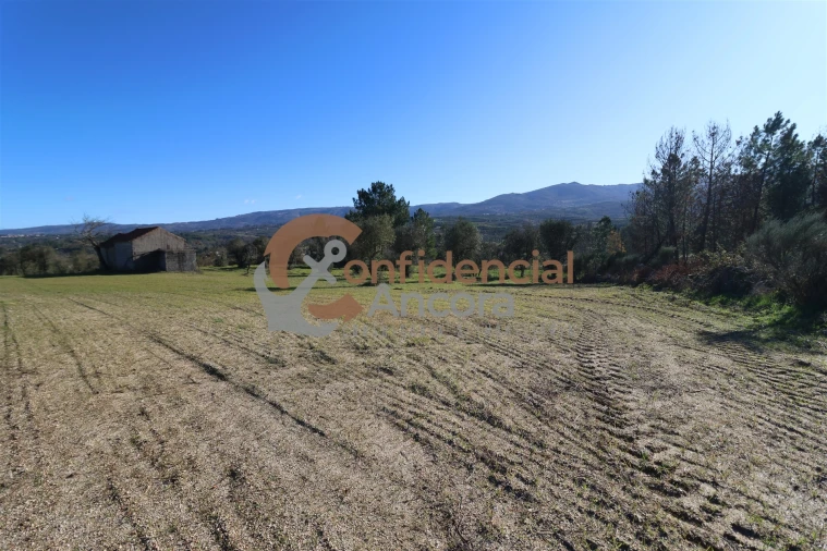 Quinta T0 para Venda em Vila Cortes da Serra Foto 8