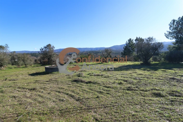 Quinta T0 para Venda em Vila Cortes da Serra Foto 24