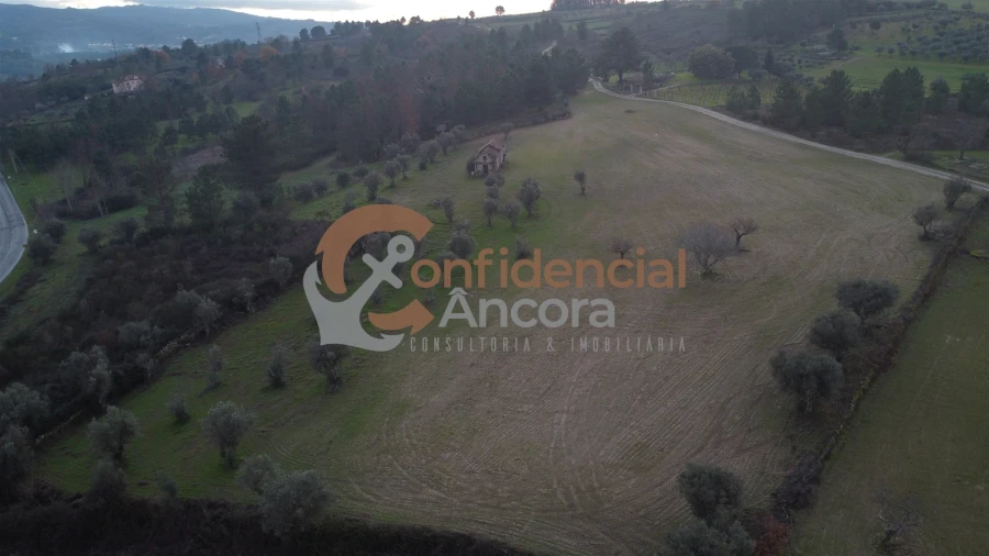 Quinta T0 para Venda em Vila Cortes da Serra Foto 29