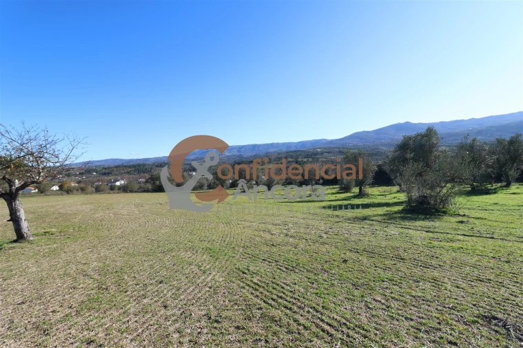 Quinta T0 para Venda em Vila Cortes da Serra Foto 21