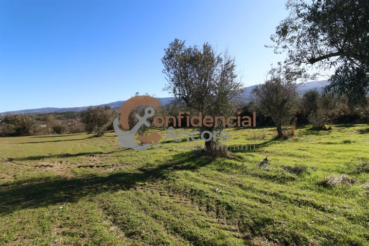 Quinta T0 para Venda em Vila Cortes da Serra Foto 15