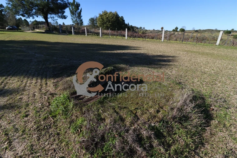 Quinta T0 para Venda em Vila Cortes da Serra Foto 25