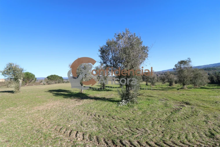 Quinta T0 para Venda em Vila Cortes da Serra Foto 13