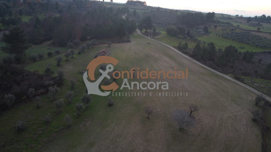 Quinta T0 para Venda em Vila Cortes da Serra Foto 28