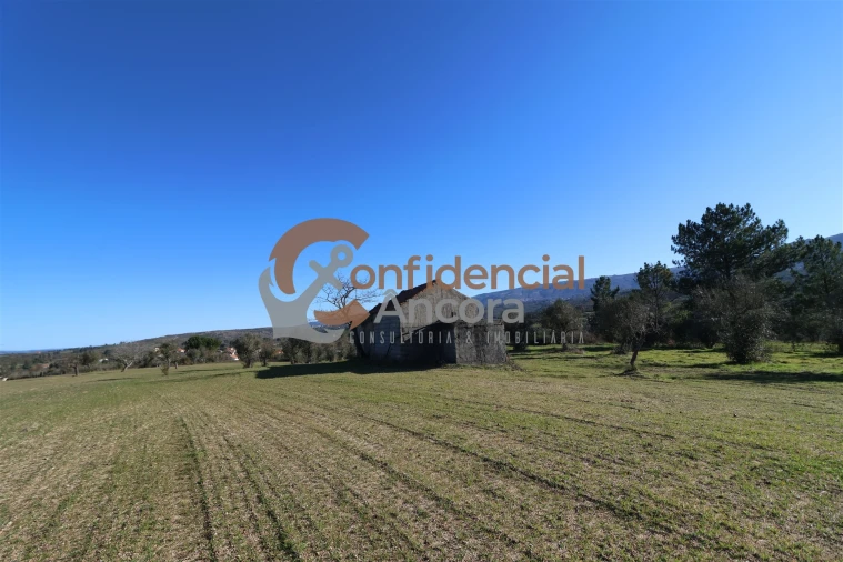 Quinta T0 para Venda em Vila Cortes da Serra Foto 9