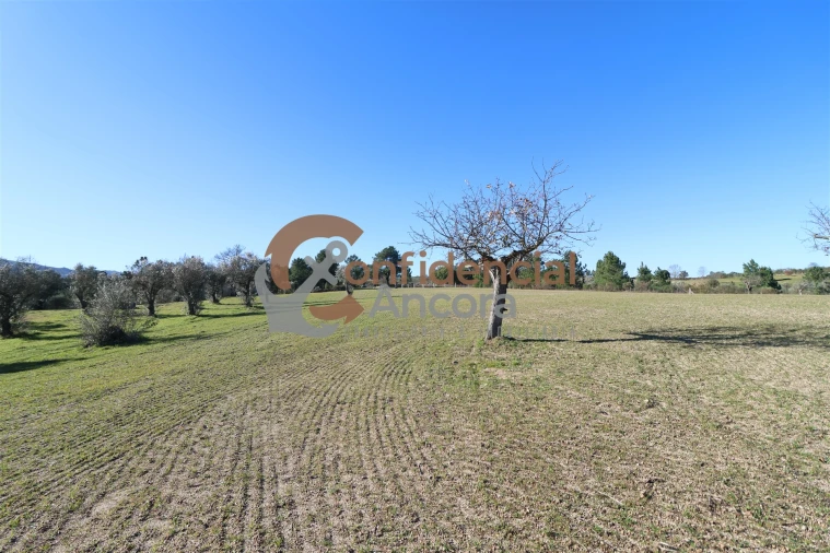 Quinta T0 para Venda em Vila Cortes da Serra Foto 17