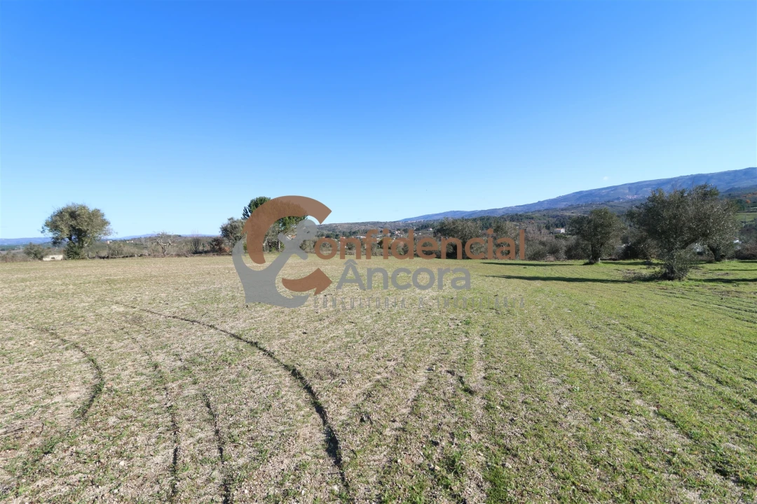 Quinta T0 para Venda em Vila Cortes da Serra Foto 16