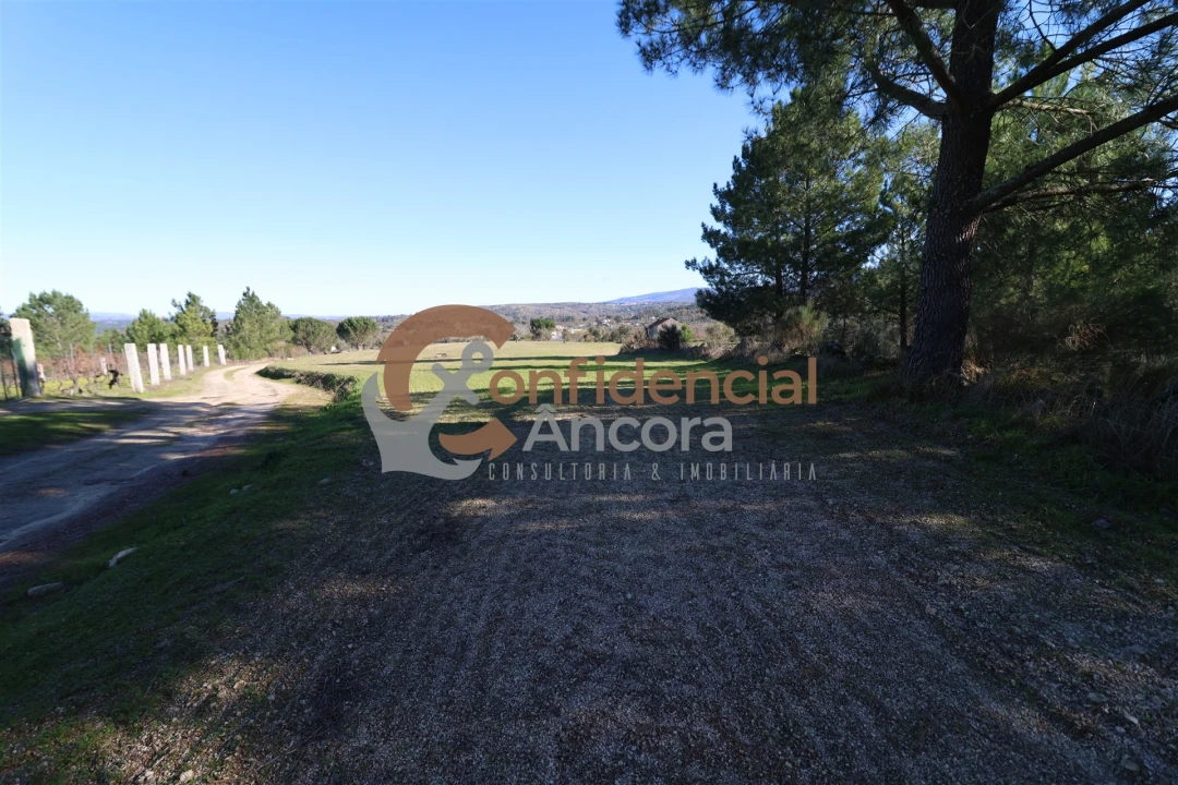 Quinta T0 para Venda em Vila Cortes da Serra Foto 6