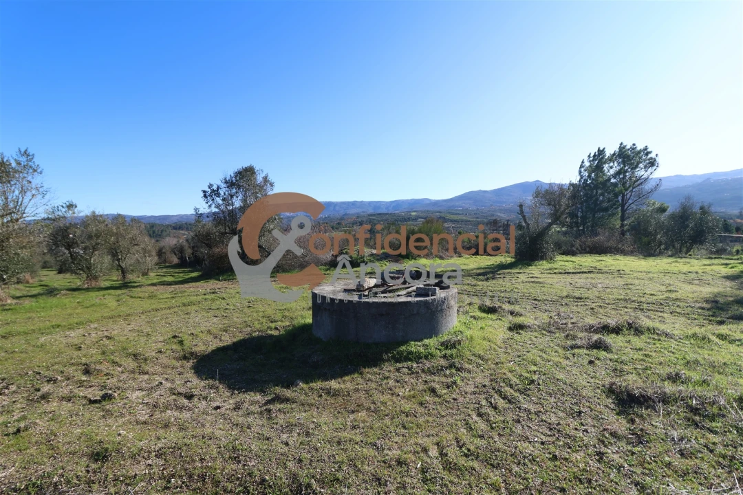 Quinta T0 para Venda em Vila Cortes da Serra Foto 14