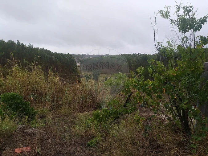 Moradia T5 para Venda em Alcanede Foto 4