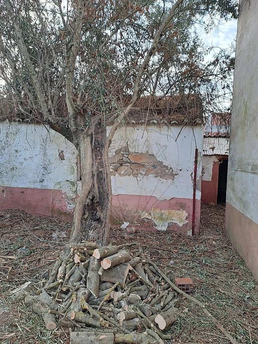 Moradia T4 para Venda em Bencatel Foto 13