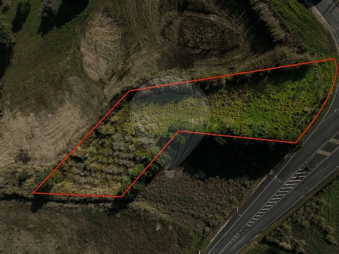 Terreno para Venda em Nossa Senhora do Pópulo, Coto e São Gregório Foto 9