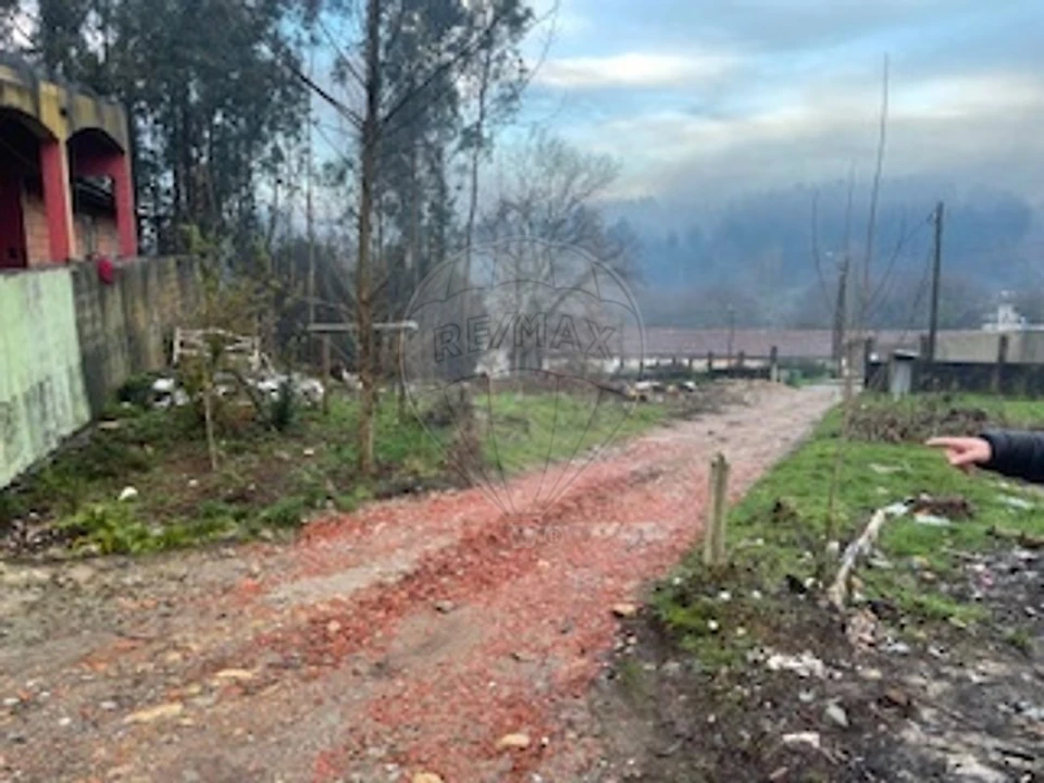 Terreno para Venda em Sanguedo Foto 5