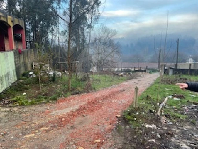 Terreno para Venda em Sanguedo Foto 6