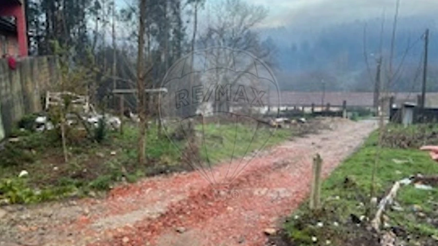 Terreno para Venda em Sanguedo