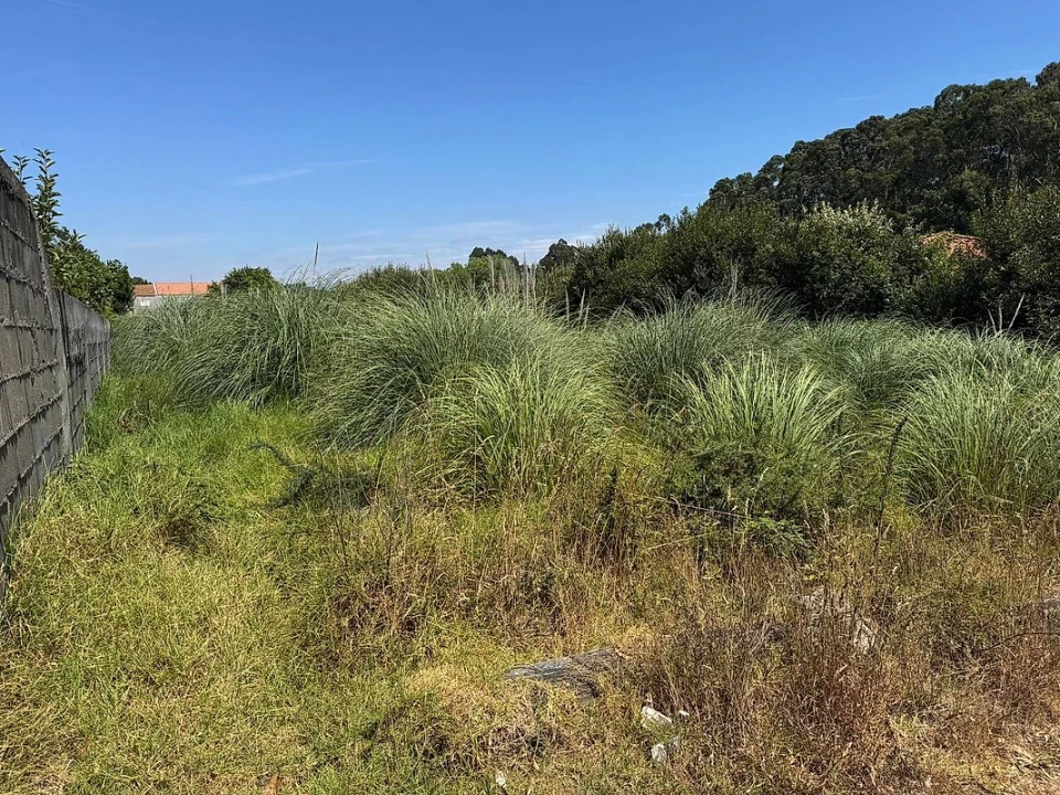 Terreno para Venda em Canidelo Foto 2