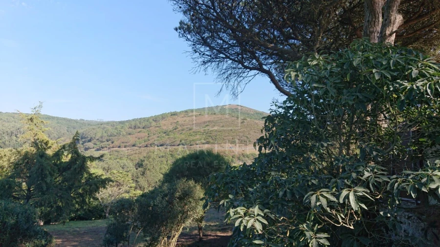 Moradia T4 para Venda em Colares Foto 16