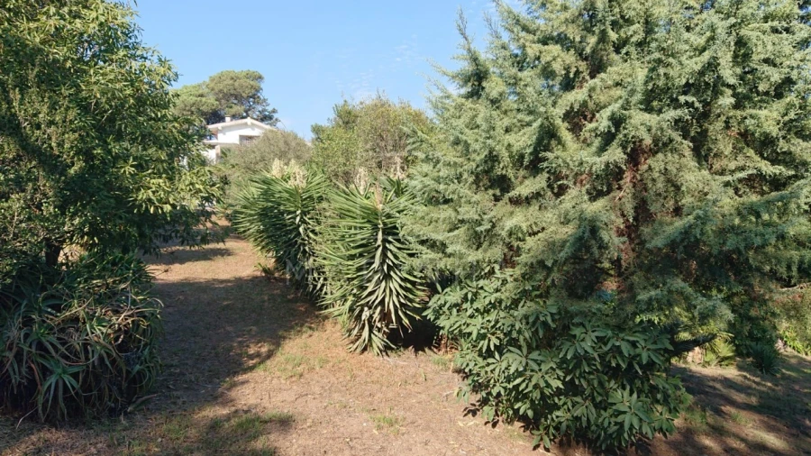 Moradia T4 para Venda em Colares Foto 17